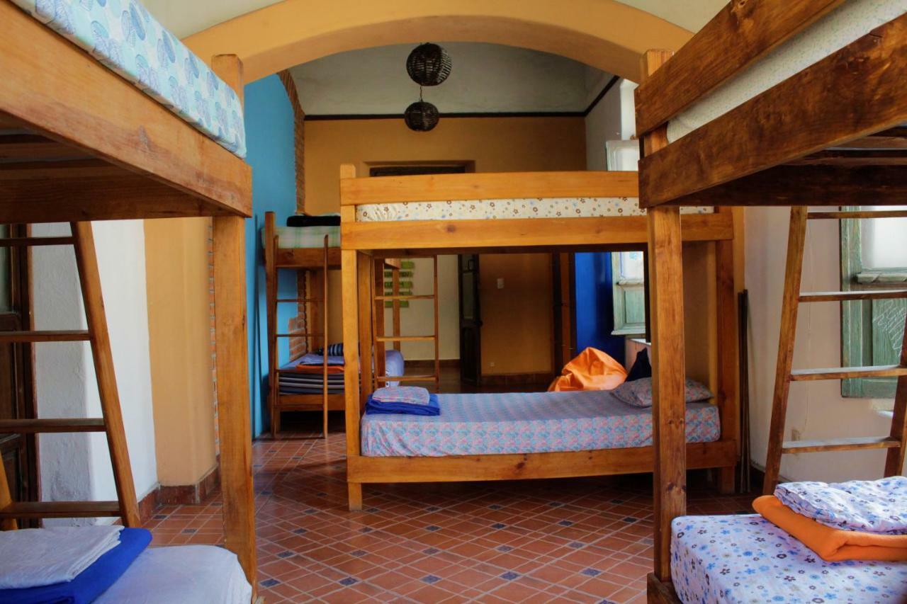 سان لويس بوتوسي Hikuri Hostel المظهر الخارجي الصورة